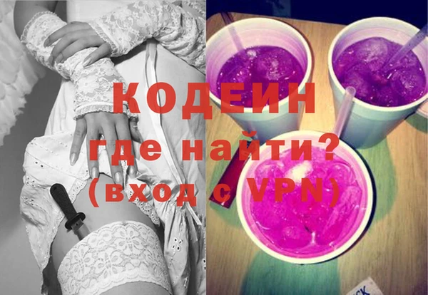 хмурый Алзамай