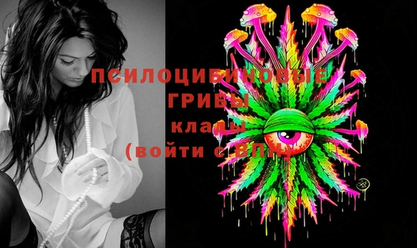 хмурый Алзамай