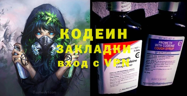 хмурый Алзамай